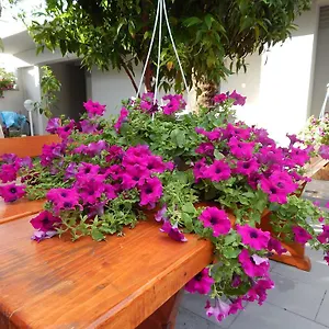 & Marinka Apartment
